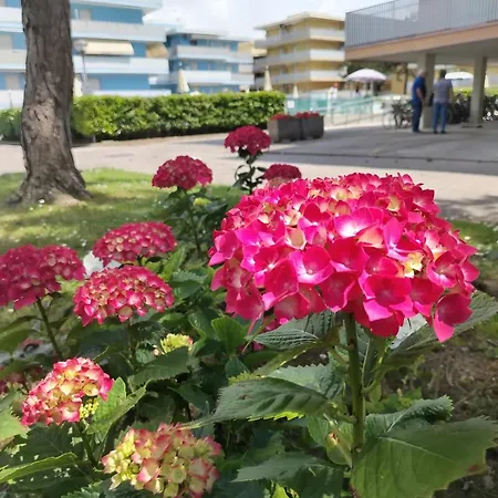 Monolocale Valbella Lägenhet