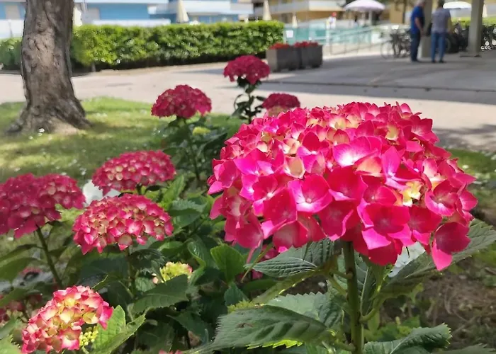 Monolocale Valbella Lägenhet